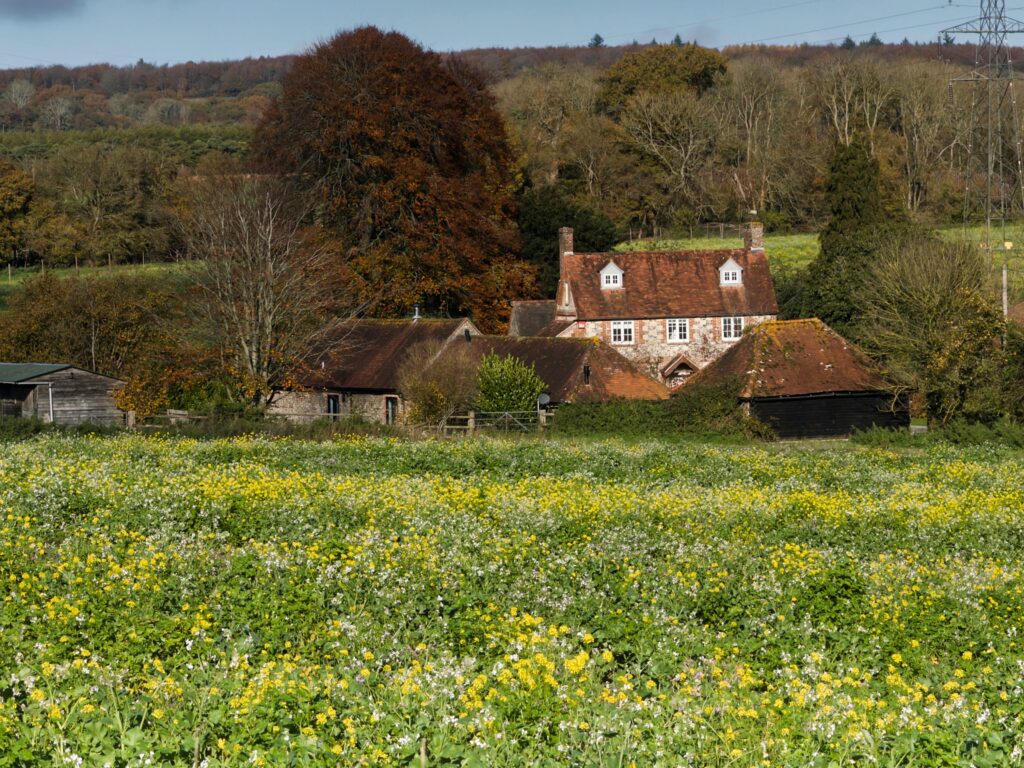 film Wuthering Heights